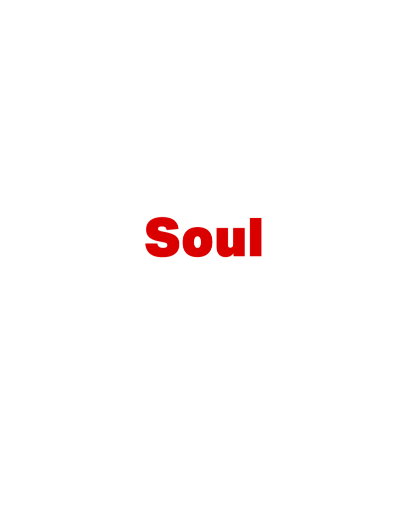 白背景に赤色で太字の「Soul」という英単語が中央に配置されたタイポグラフィ画像
